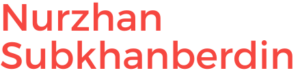 Nurzhan Subkhanberdin Logo